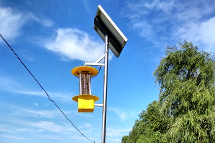 打造山水園林生態(tài)城，牙克石綠色新城闊步來(lái)!