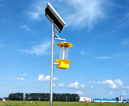 不同類(lèi)型殺蟲(chóng)燈的正確使用方法