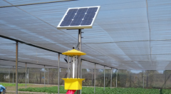 殺蟲燈成為蔬菜大棚無(wú)公害種植的“綠防衛(wèi)士”