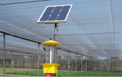 太陽(yáng)能殺蟲(chóng)燈保障綠色食品安全