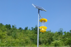 殺蟲(chóng)燈對(duì)杏樹(shù)害蟲(chóng)天幕毛蟲(chóng)防治效果突出