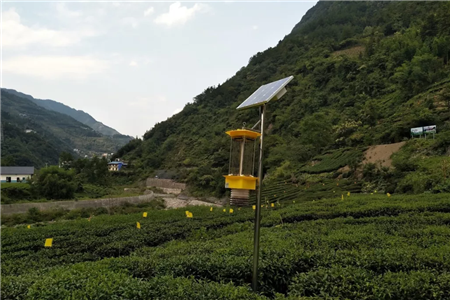 自動(dòng)清蟲太陽能殺蟲燈