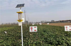 云飛太陽能殺蟲燈入駐安徽大學(xué)試驗(yàn)田！