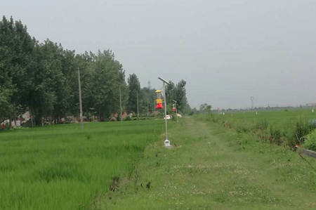 物聯(lián)網(wǎng)自動(dòng)清蟲(chóng)殺蟲(chóng)燈