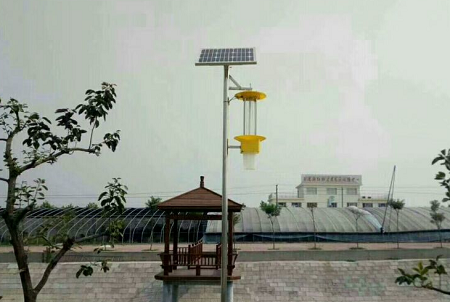 物聯(lián)網(wǎng)殺蟲(chóng)燈