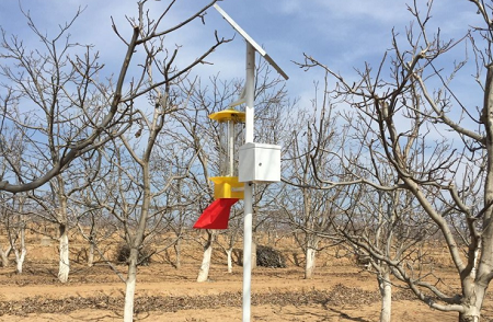 路燈式太陽能殺蟲燈